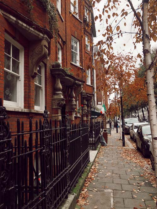 The sidewalk with fallen Autumn leaves in front of a house in Fitzrovia, London, United Kingdom